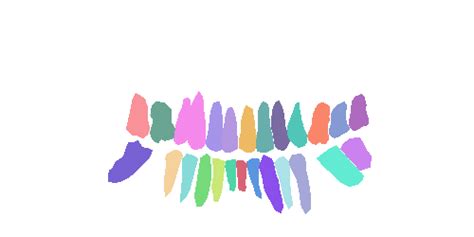 Teeth Segmentation on Dental X-ray Images - Dataset Ninja