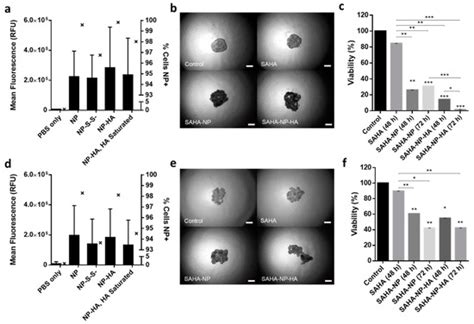 Hyaluronic Acid-Functionalized Nanomicelles Enhance SAHA Efficacy in 3D ...