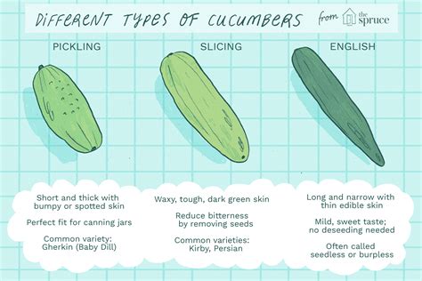 Can You Pickle Slicing Cucumbers / What Can You Do to Make Pickles More ...