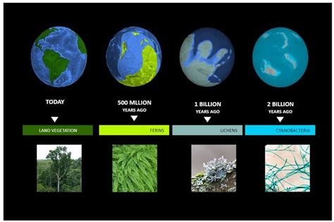 Earth Evolution Chart 的图像结果