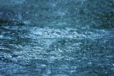 中到大雨局部暴雨！山东发布重要天气预报，青岛本周的天气…… | 自由微信 | FreeWeChat