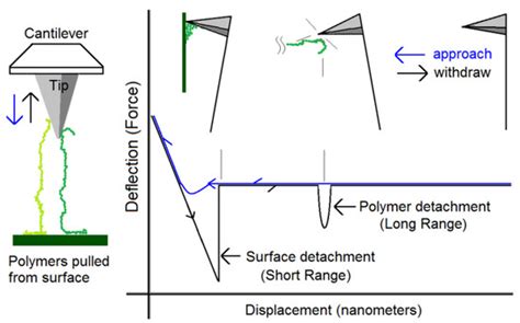 The Detection of Long-Chain Bio-Markers Using Atomic Force Microscopy