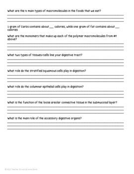 Digestive System Crash Course 的图像结果