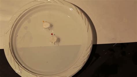 Image result for Compass Science Experiment