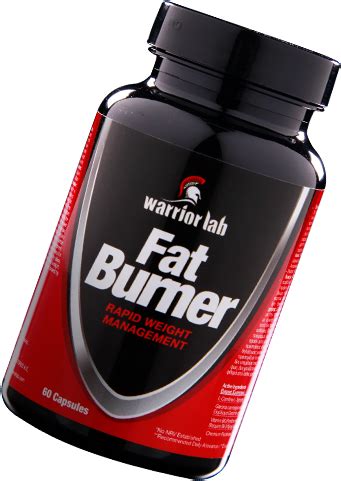 Warrior Lab 的图像结果