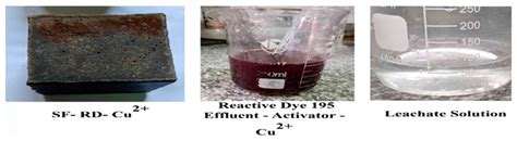 Immobilization Approach as a Creative Strategy to Remove Reactive Dye ...