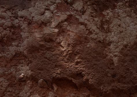 泥土,背景,泥,堆肥,肮脏的,自然,褐色,式样,水平画幅,无人摄影素材,汇图网www.huitu.com