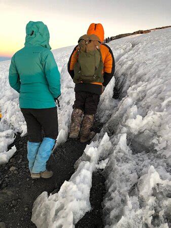 Tanzania Safari Tour (Medemblik) - 2022 What to Know Before You Go ...