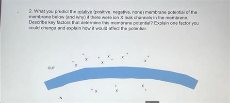Potential Negative 的图像结果