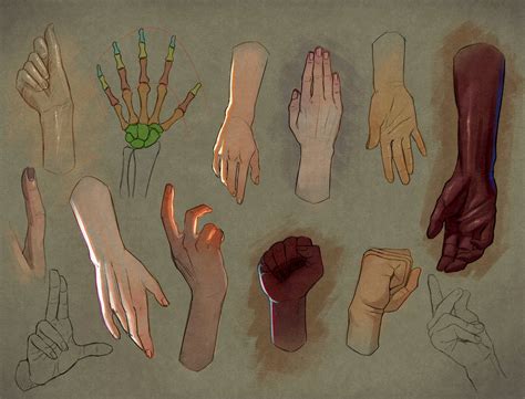 Image result for Hand Anatomy Tutorial