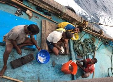 How technology is helping Indian, Sri Lankan fishermen amid climate ...