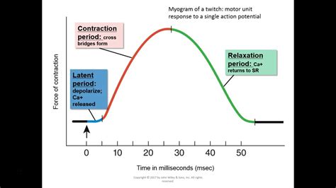 Image result for Myogram