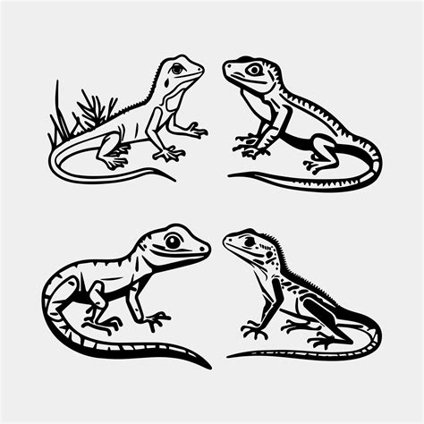 Image result for Lizard Vector