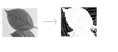 Image result for OpenCV Gradient Methods