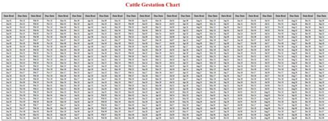 Cattle Gestation Calculator & Chart {Printable} - Livestocking