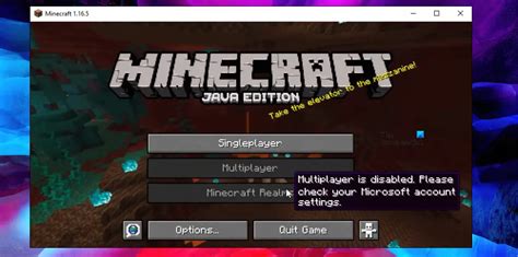 Why Can't I Play Multiplayer On Minecraft Java 的图像结果