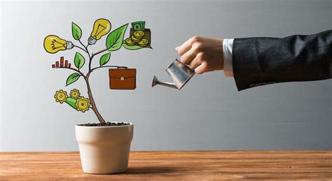 Simple Financing 的图像结果