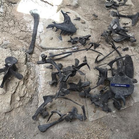 Cleveland - Lloyd Dinosaur Quarry (Price) - All You Need to Know BEFORE ...