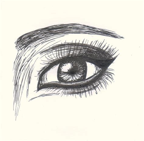 Image result for Basic Beginner Drawings