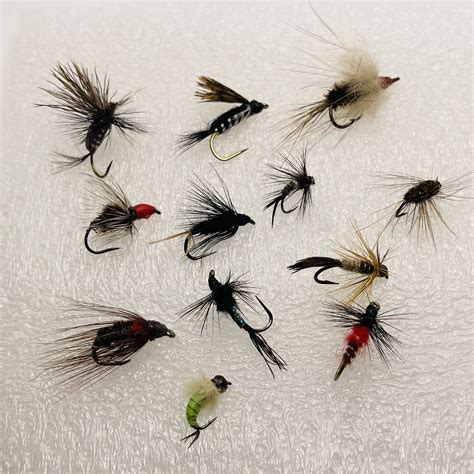 manual Open salvage fly fish bait shortness of breath browser evaluate