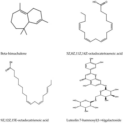 Synergistic Antimicrobial Activity of Ceftriaxone and Polyalthia ...