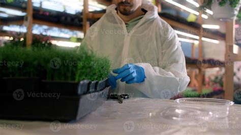 Food Waste Plant Sampling 的图像结果