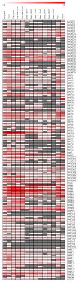 Comprehensive In Silico Characterization and Expression Profiling of ...