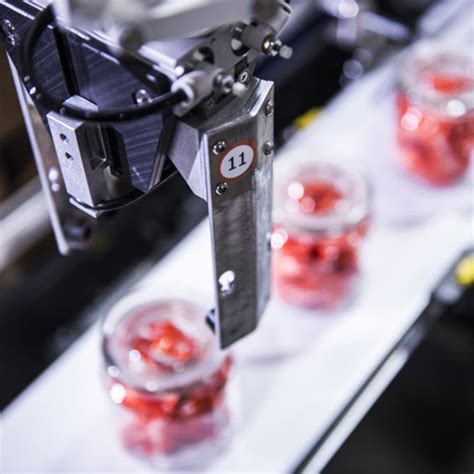 Image result for Case Packer Types