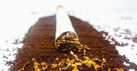 Gulf: United Arab Emirates introduces ‘sin’ taxes on tobacco, energy drinks