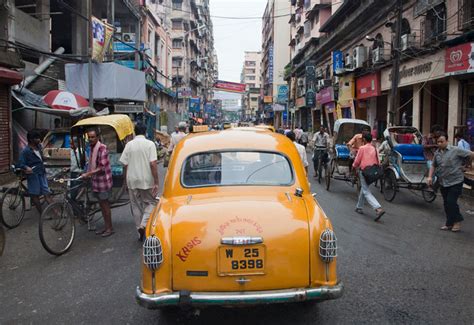 Proxy Voting 的图像结果