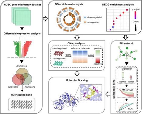 Identification of Novel Drugs Targeting Cell Cycle Regulators for the ...