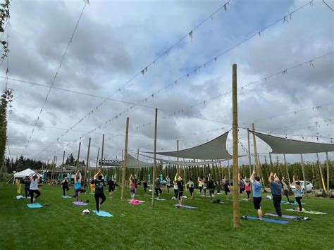 Yoga + Beer Woodburn | Topwire Hop Project, TopWire Hop Project ...