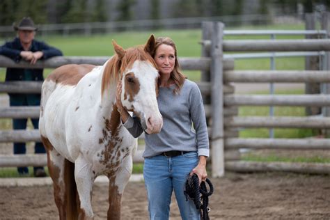 ‘Heartland’ Season 16 Starts Aug. 6 on UPtv | Next TV | Broadcasting+Cable