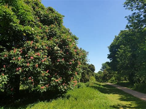 NORTON COMMON (2026) All You Need to Know BEFORE You Go (with Photos ...