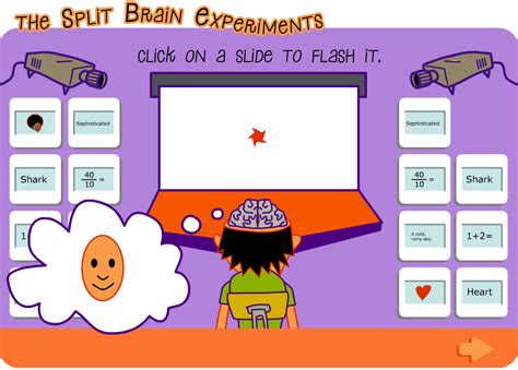 Contact Split Brain Behavioral Experiments 的图像结果