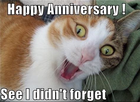50+ Funny Anniversary Memes, GIF's and Images
