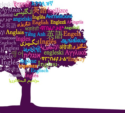 Image result for Find English