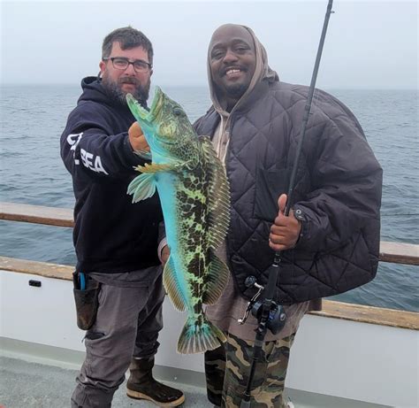 Coral Sea - Great fishing