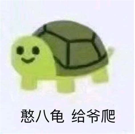 憨八龟（动画人物）_摘编百科