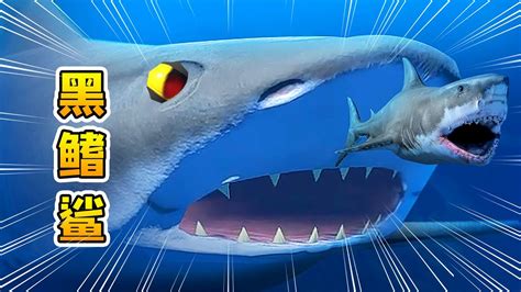 海底大猎杀30：黑鳍鲨超级进化，成为海域最强者，攻击力狂飙！ - YouTube