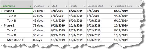 Microsoft Project Baseline Tutorial 的图像结果