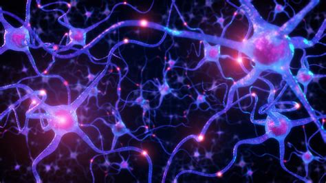 Inside The Human Brain: What We Really Know About How We Think