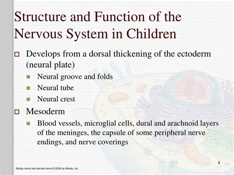 Image result for Structure and Function Children