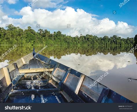 Kinabatangan: Over 2,345 Royalty-Free Licensable Stock Photos ...
