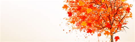 Download wallpaper autumn, leaves, tree, figure, section miscellanea in ...