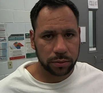 DHS Sets the Record Straight on Media and Activist Lies about ICE ...