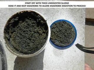 Sludge Digestion 的图像结果