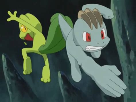 Image result for Treecko Evolution GBA Pokemon