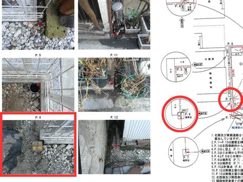 Image result for Module 4