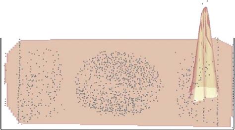 Normalized Eigenvector 的图像结果